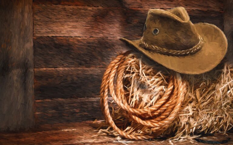 High Chaparral – luokkaretkikohde